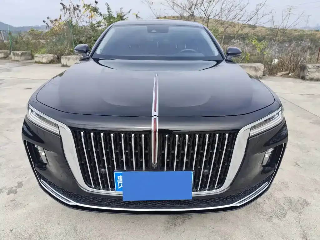 Hongqi H9 2021 из CN, фото 6