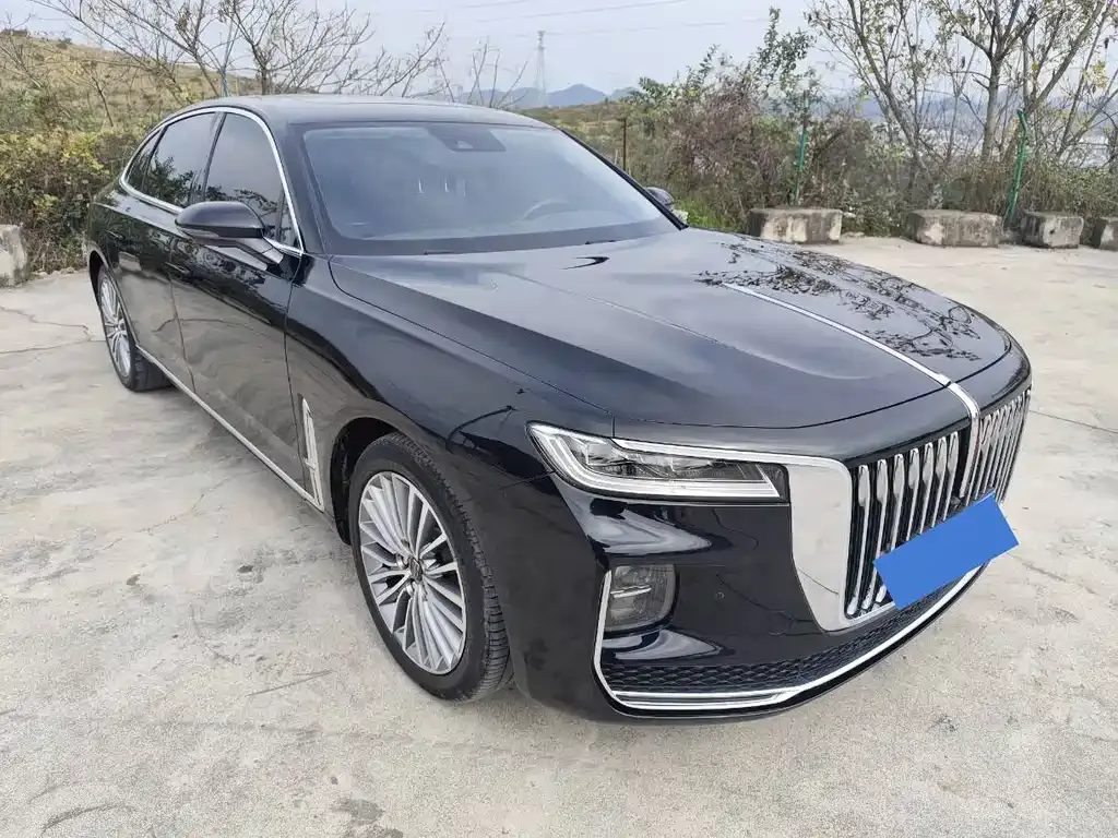 Hongqi H9 2021 из CN, фото 10
