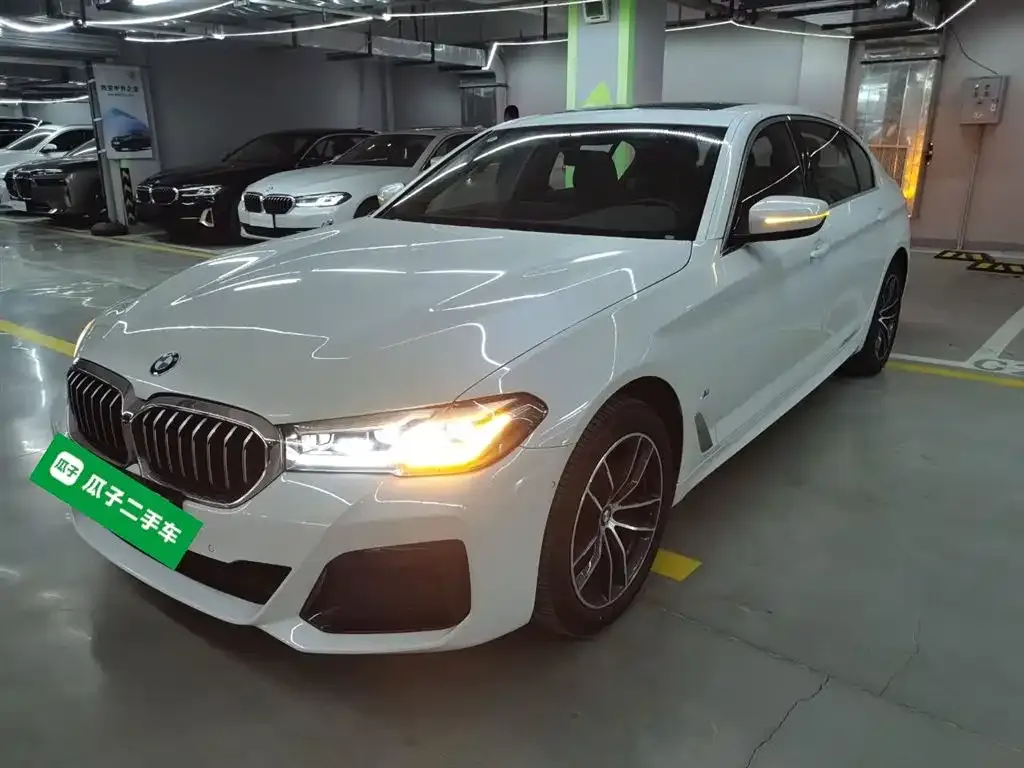 BMW 5 Series 2024 из CN, фото 10