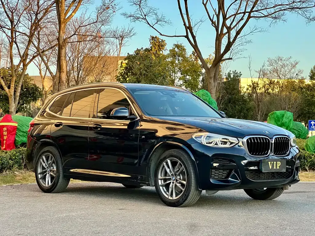 BMW X3 2021 из CN, фото 8
