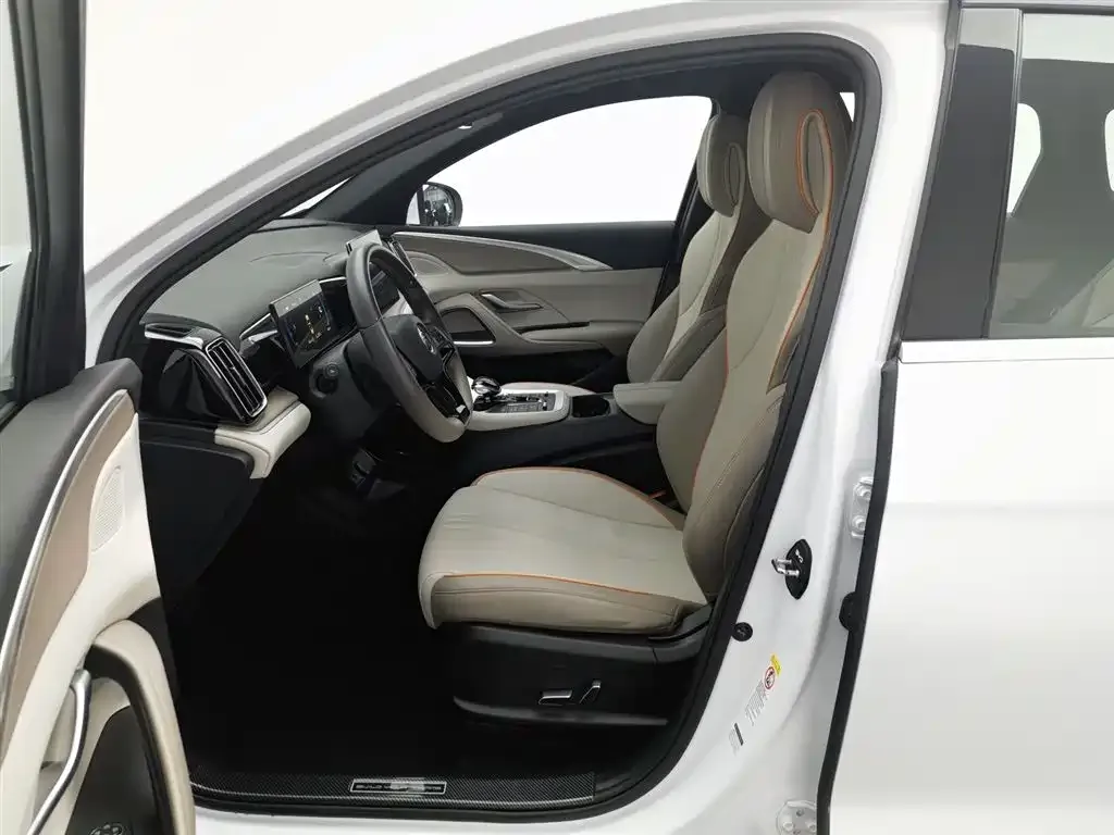 BYD Pro New Energy 2024 из CN, фото 10