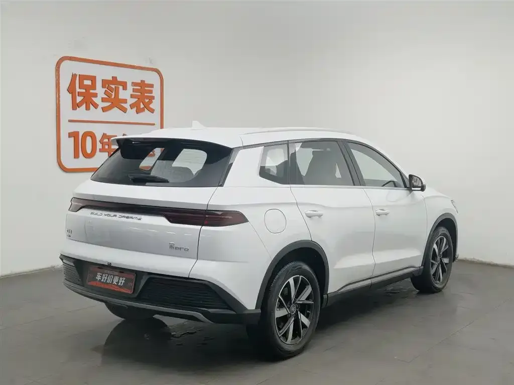 BYD Pro New Energy 2024 из CN, фото 2