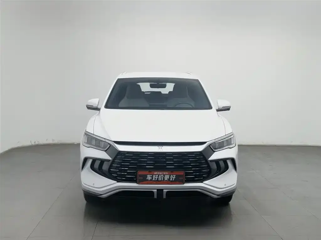 BYD Pro New Energy 2024 из CN, фото 5