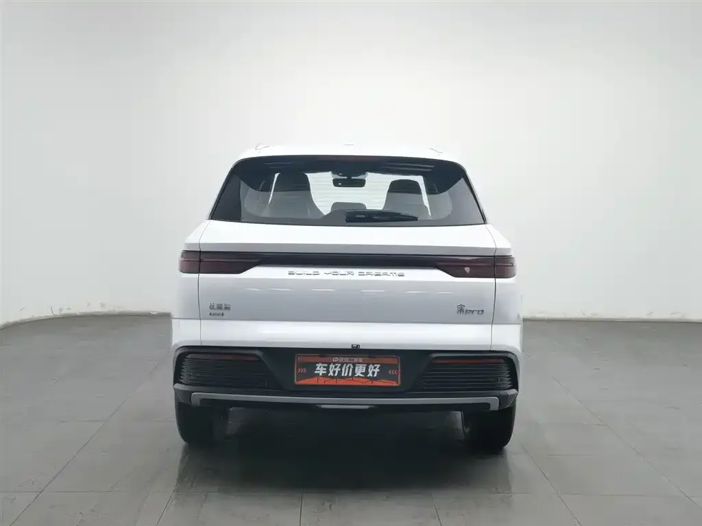 BYD Pro New Energy 2024 из CN, фото 3