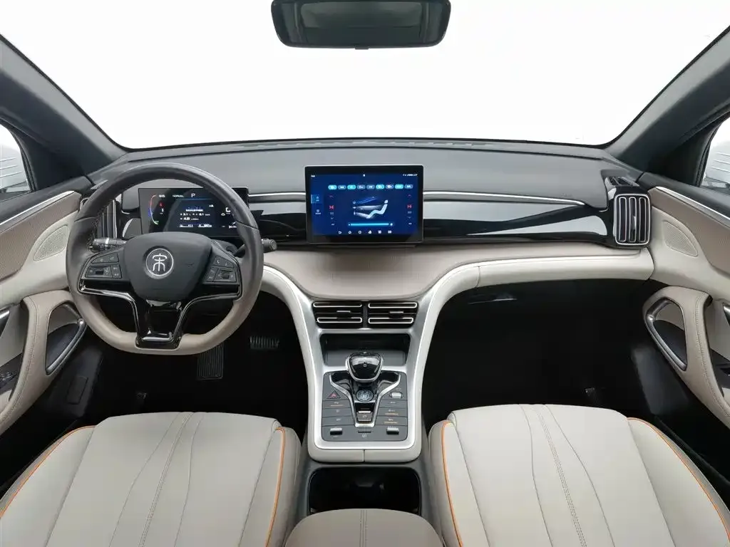 BYD Pro New Energy 2024 из CN, фото 6