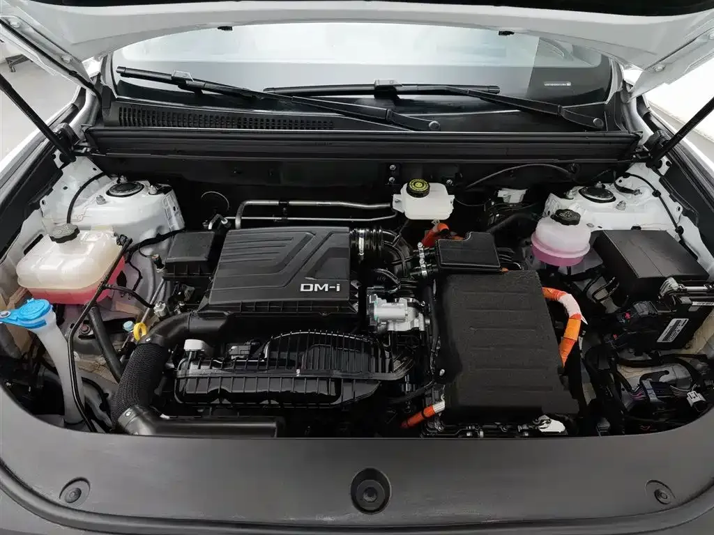 BYD Pro New Energy 2024 из CN, фото 7