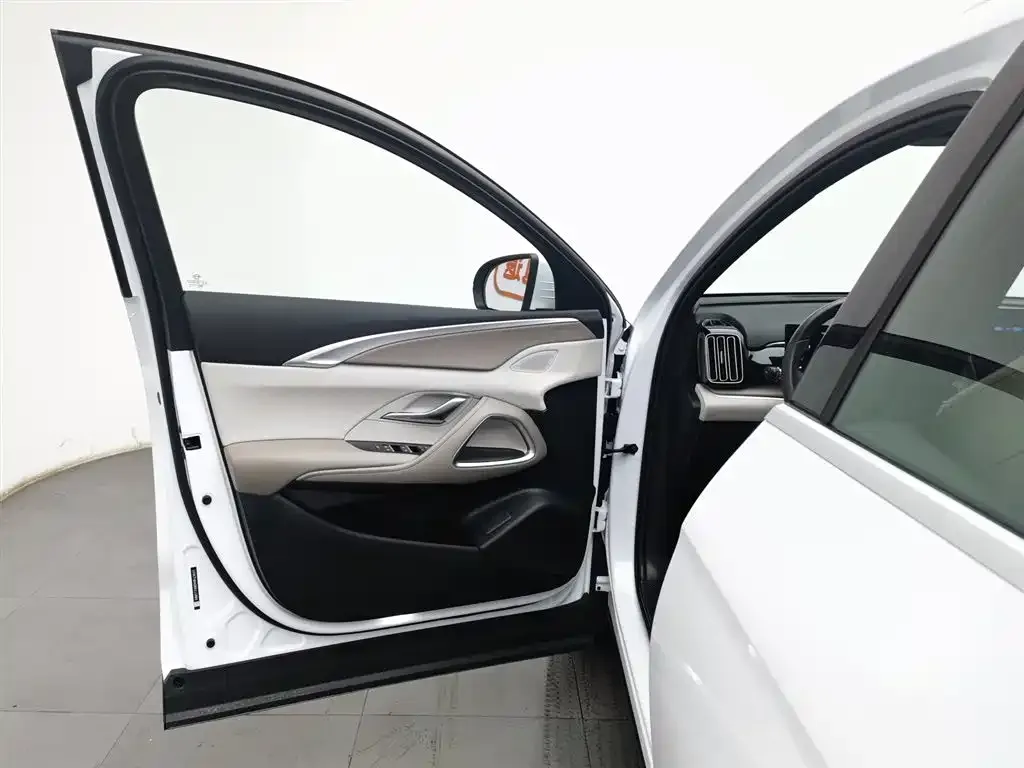 BYD Pro New Energy 2024 из CN, фото 8