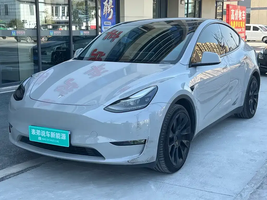Tesla Model Y 2021 из CN, фото 1