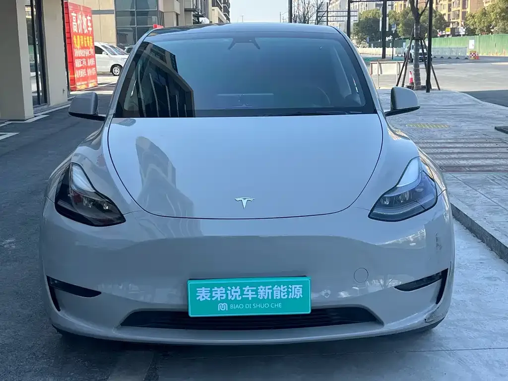 Tesla Model Y 2021 из CN, фото 7