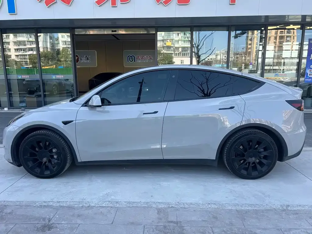 Tesla Model Y 2021 из CN, фото 2