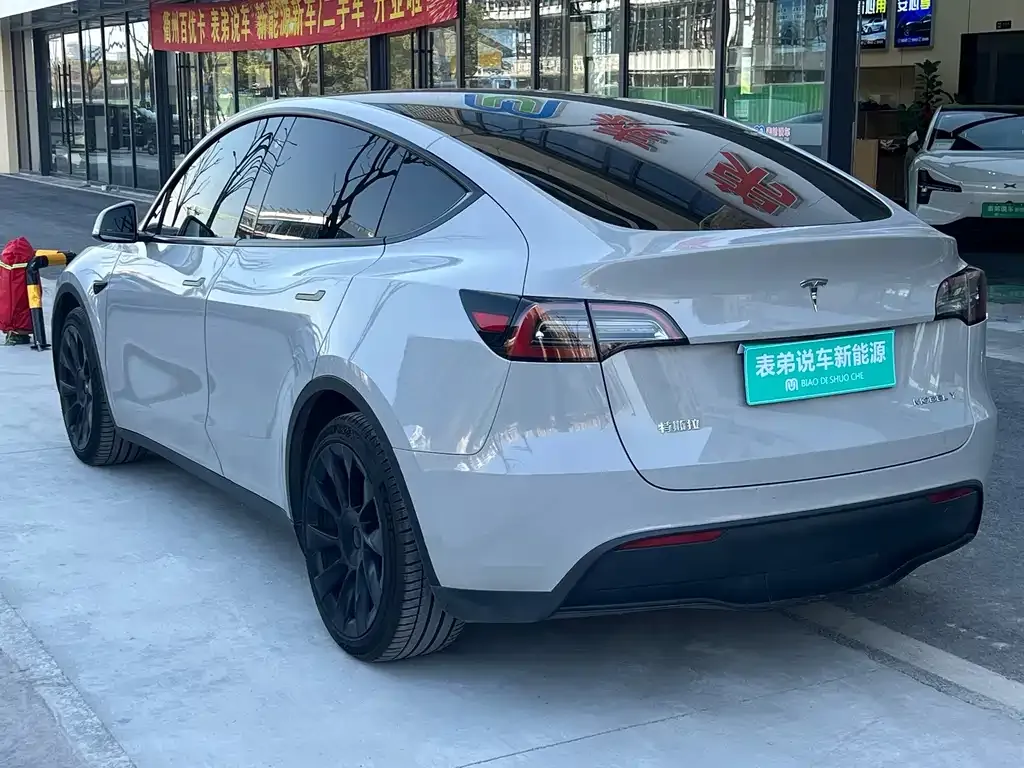 Tesla Model Y 2021 из CN, фото 3