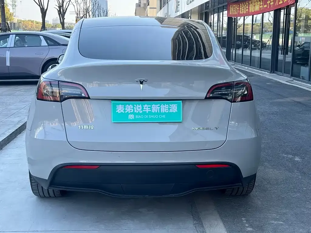 Tesla Model Y 2021 из CN, фото 8
