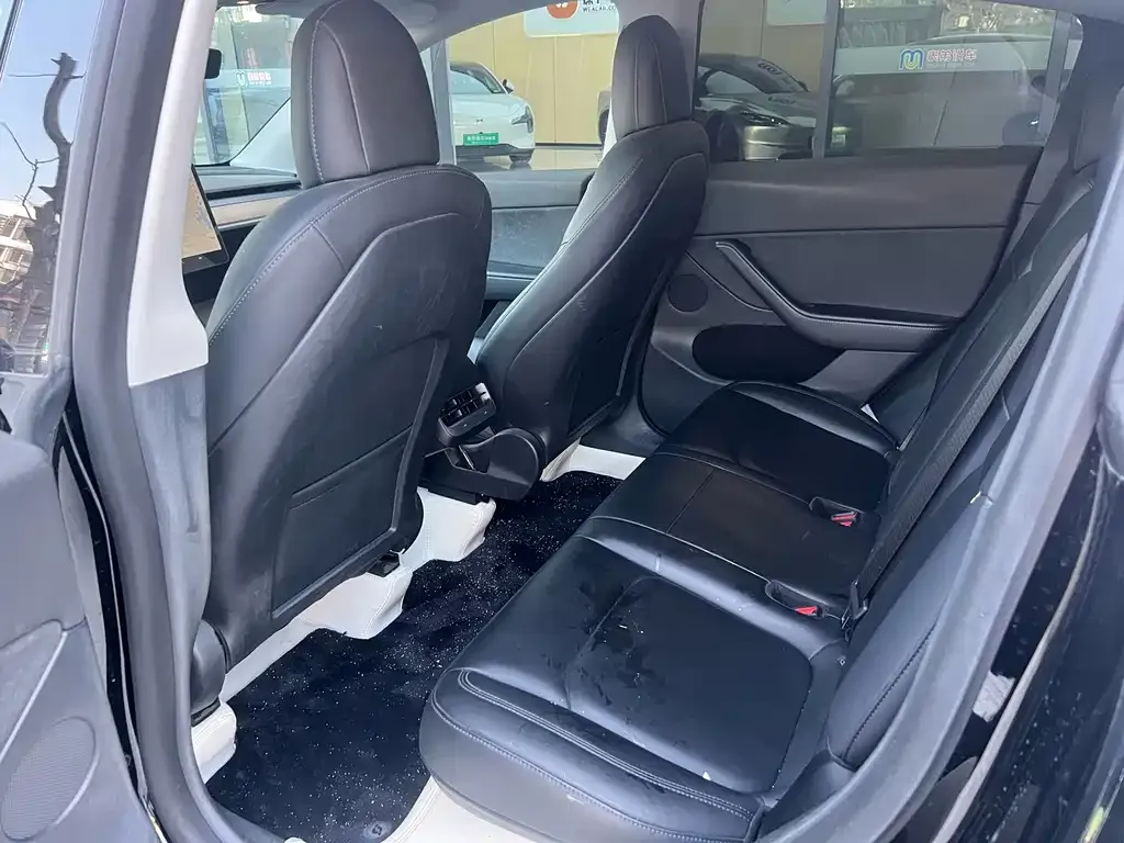 Tesla Model Y 2021 из CN, фото 6