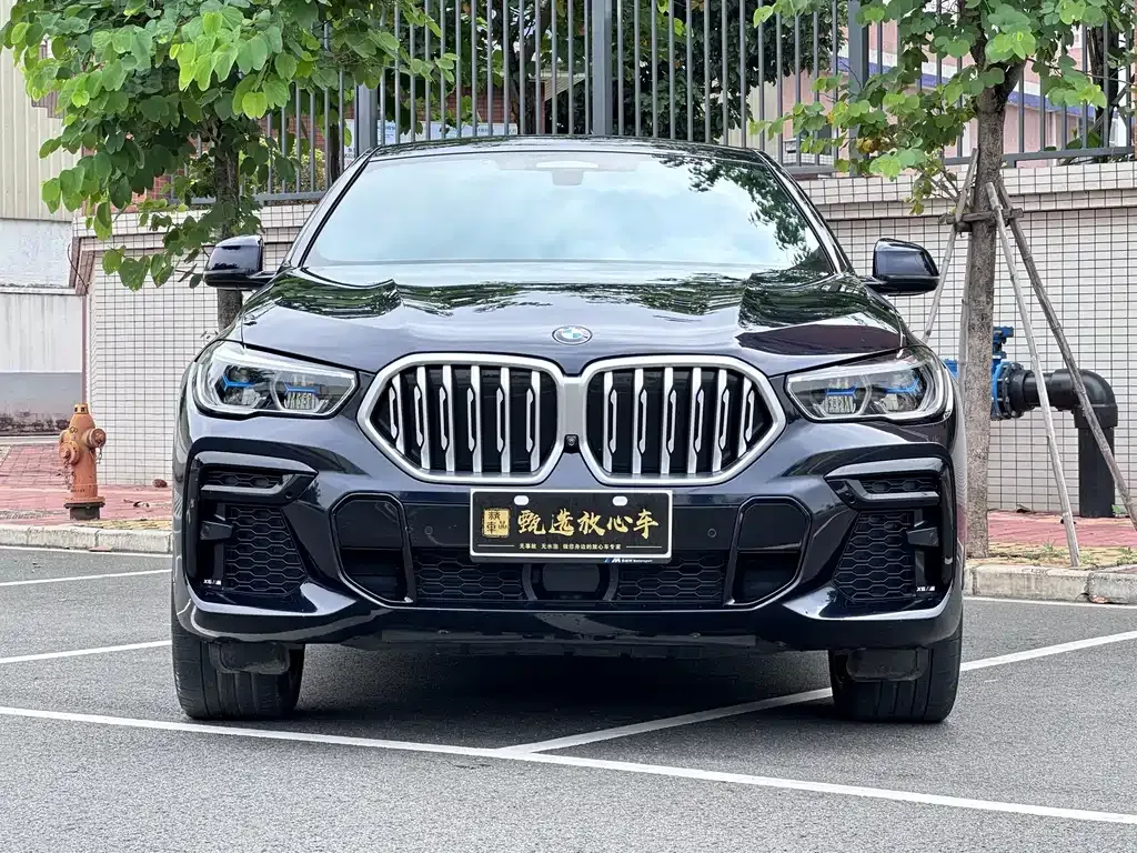 BMW X6 2023 из CN, фото 2