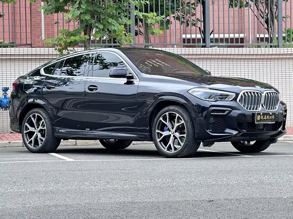 BMW X6 2023 из CN, фото 9