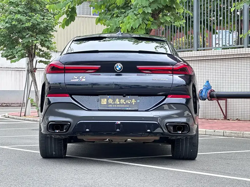 BMW X6 2023 из CN, фото 5