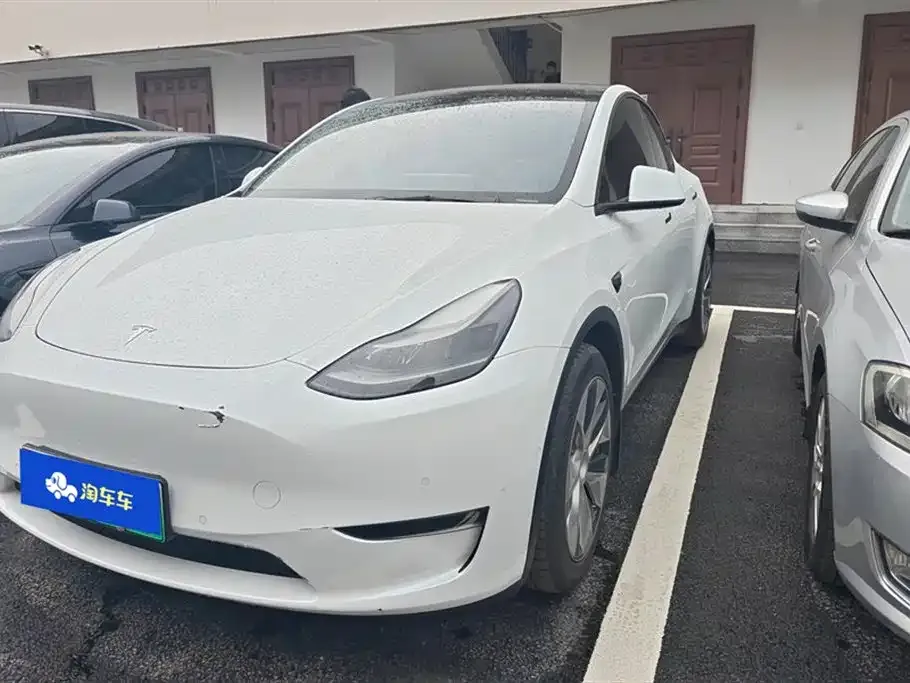 Tesla Model Y 2021 из CN, фото 1