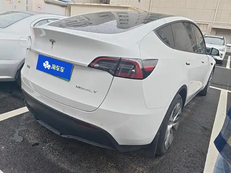 Tesla Model Y 2021 из CN, фото 5