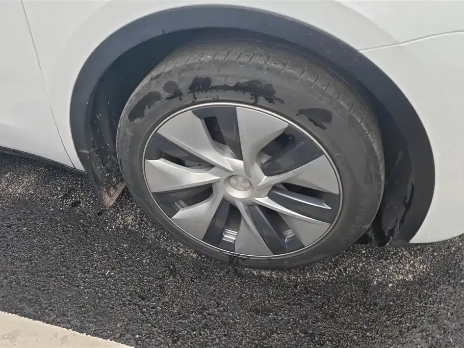Tesla Model Y 2021 из CN, фото 10