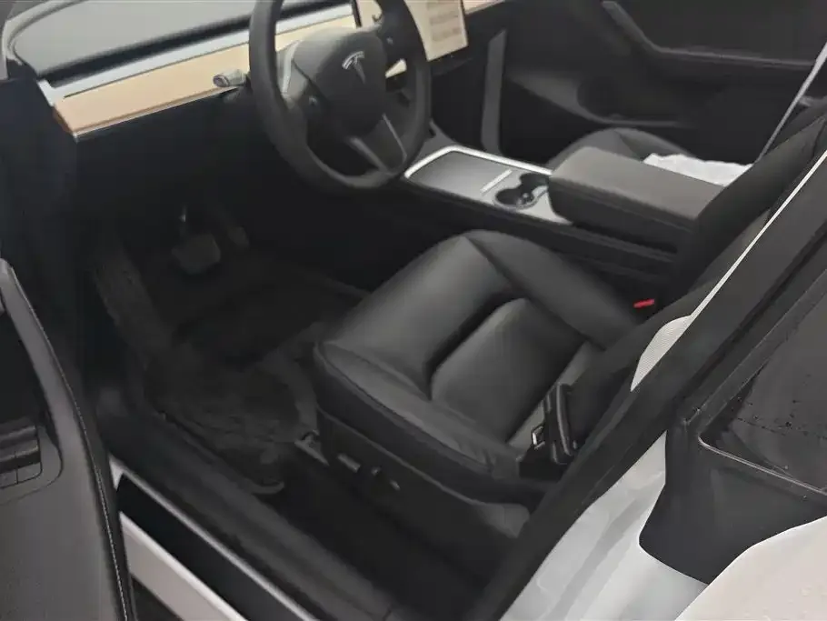 Tesla Model Y 2021 из CN, фото 4