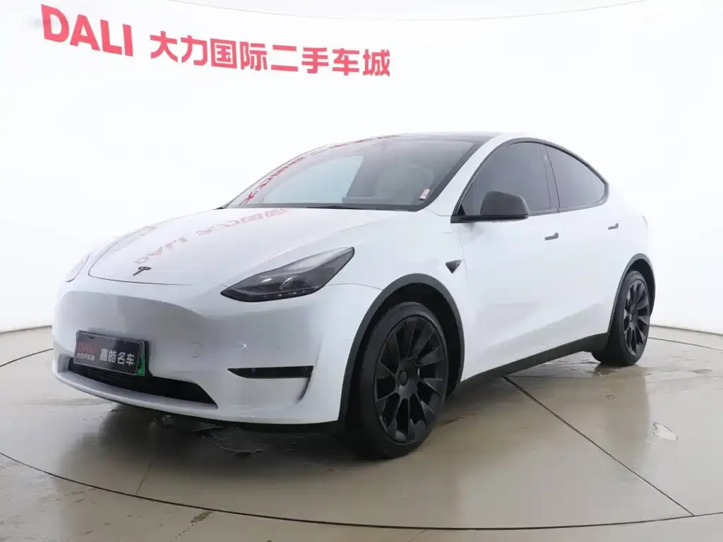 Tesla Model Y — фото 1