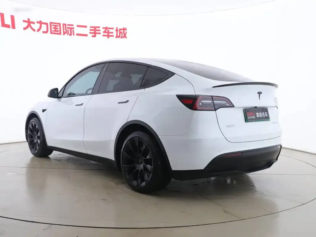 Tesla Model Y — фото 10