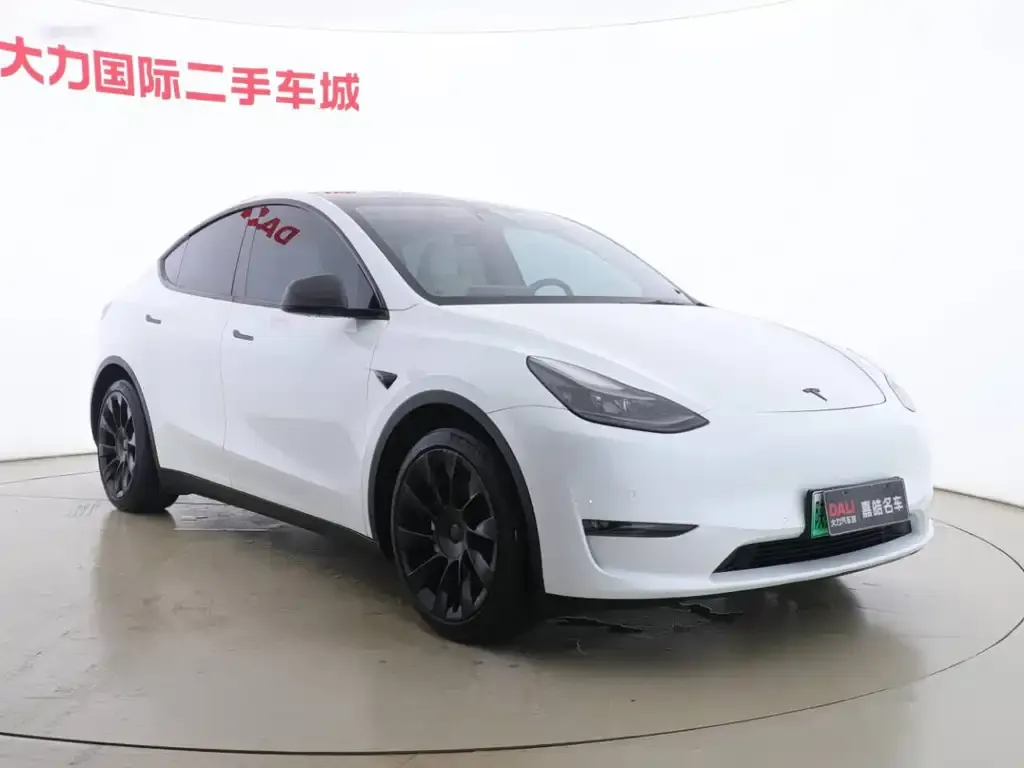 Tesla Model Y — фото 2