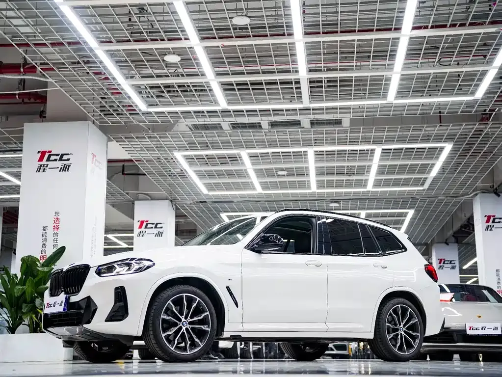 BMW X3 2022 из CN, фото 10