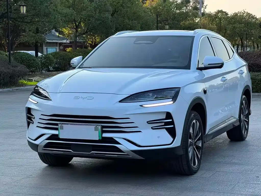 BYD PLUS New Energy 2025 из CN, фото 1