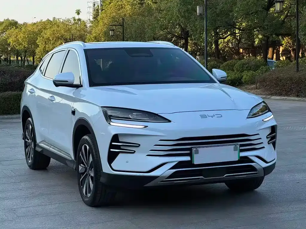 BYD PLUS New Energy 2025 из CN, фото 3