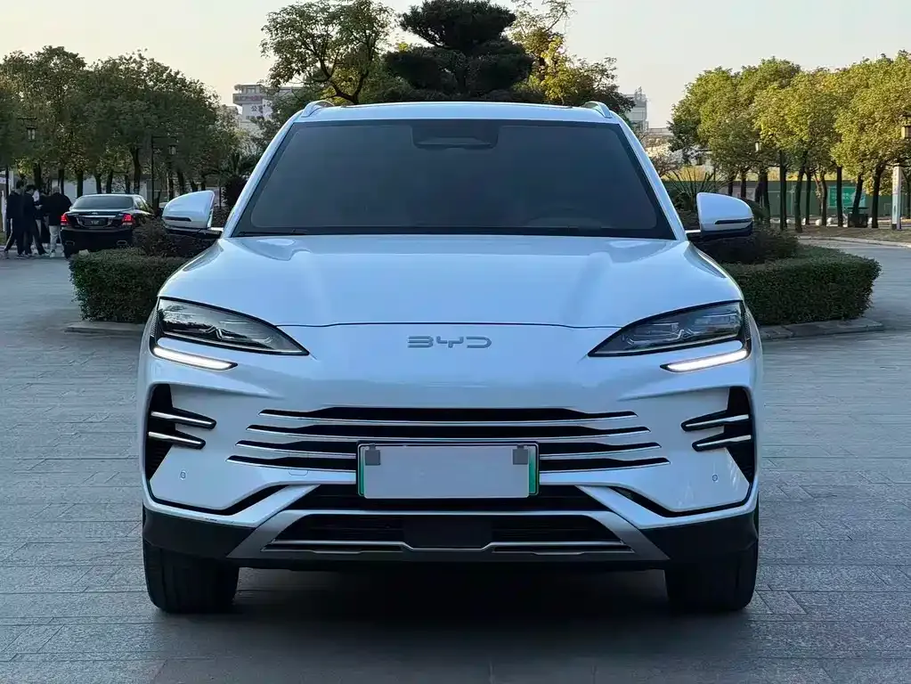 BYD PLUS New Energy 2025 из CN, фото 6
