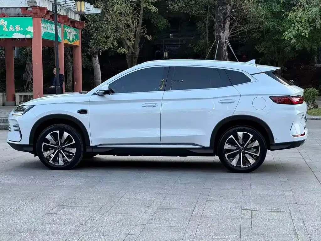 BYD PLUS New Energy 2025 из CN, фото 10