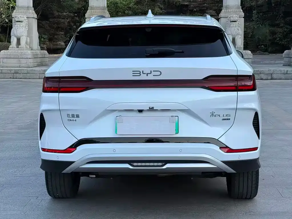 BYD PLUS New Energy 2025 из CN, фото 2