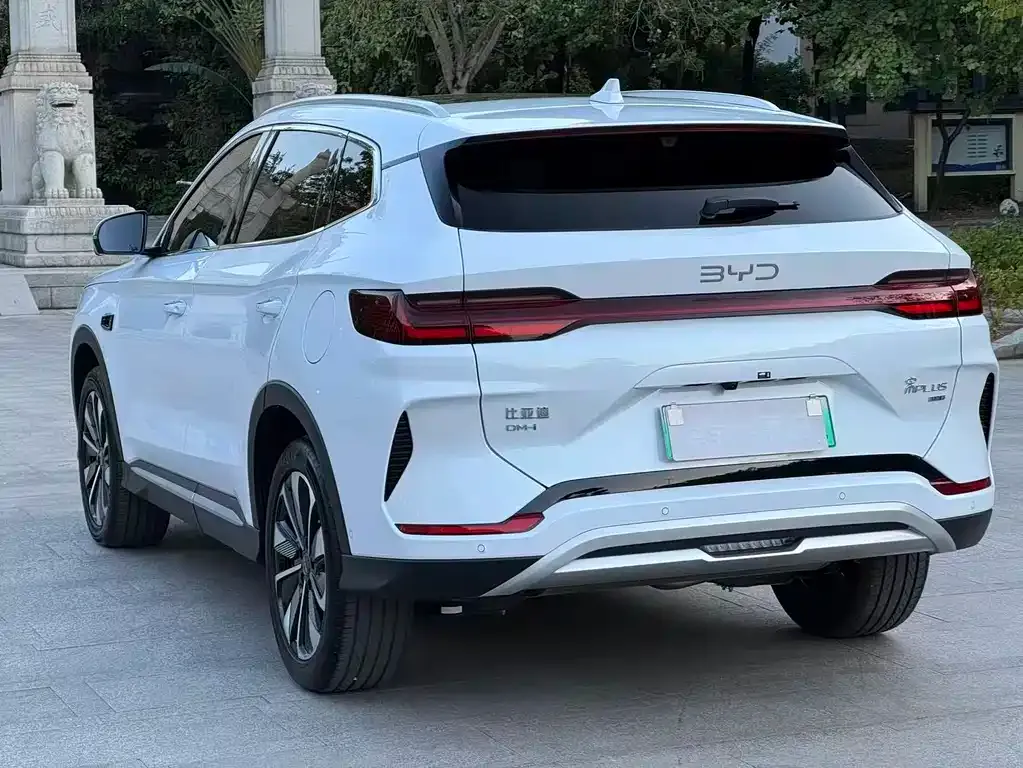 BYD PLUS New Energy 2025 из CN, фото 4