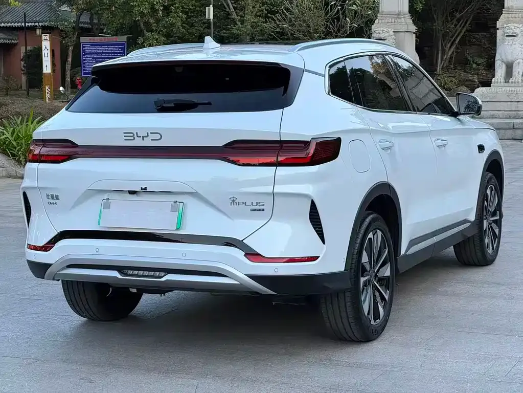 BYD PLUS New Energy 2025 из CN, фото 5