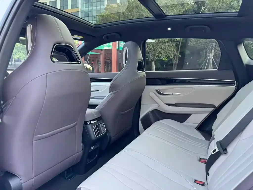 BYD PLUS New Energy 2025 из CN, фото 9