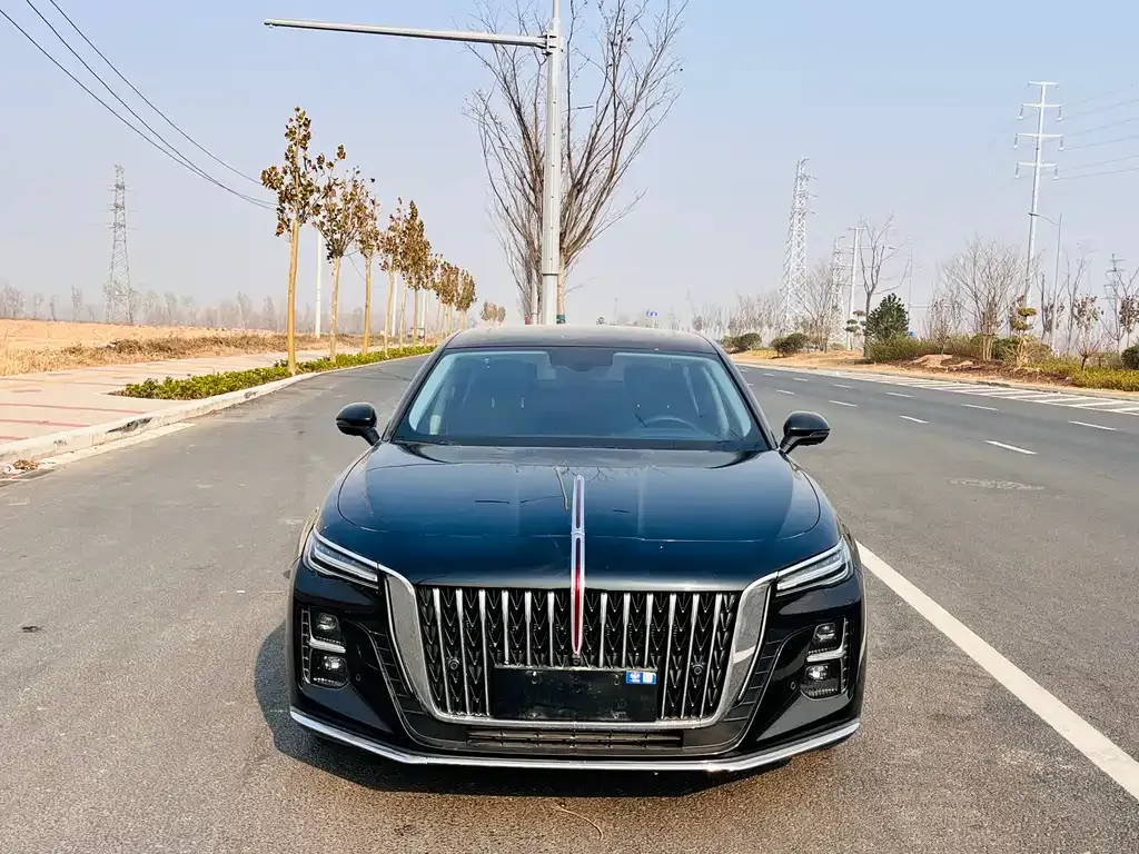 Hongqi H5 2023 из CN, фото 2