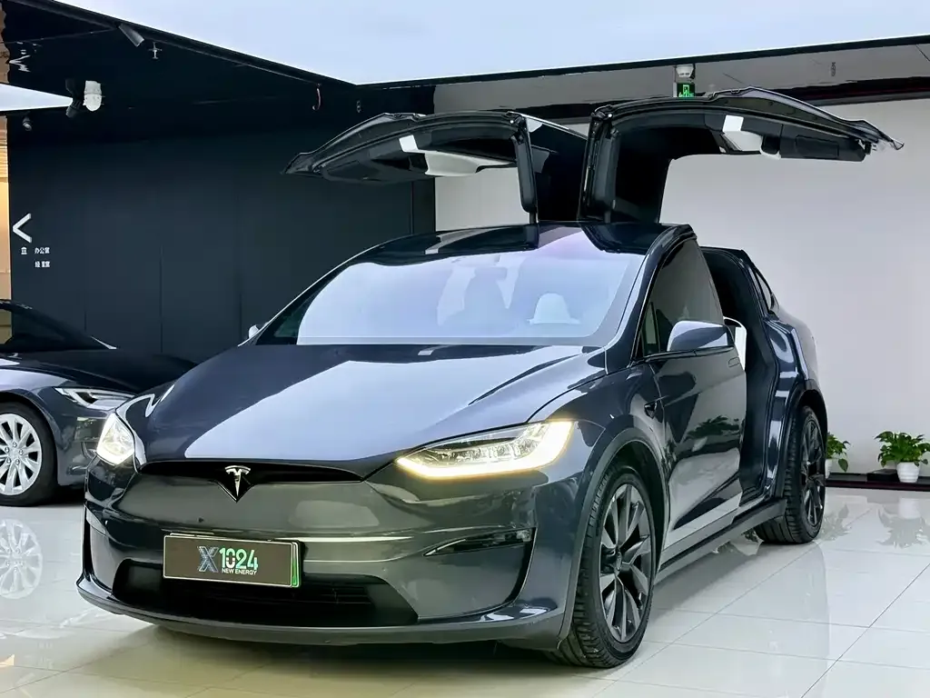 Tesla Model X 2023 из CN, фото 1