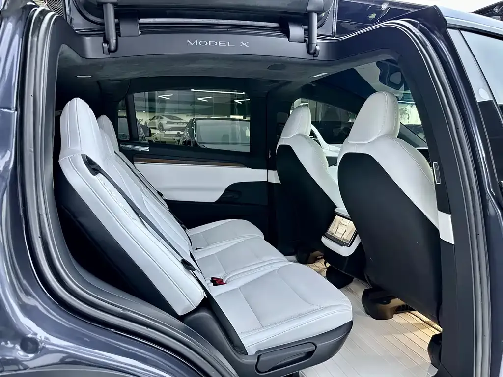 Tesla Model X 2023 из CN, фото 2