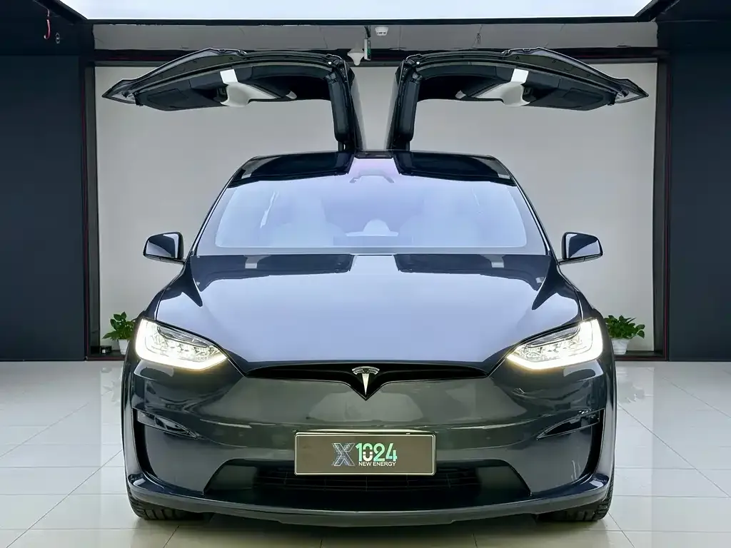 Tesla Model X 2023 из CN, фото 6