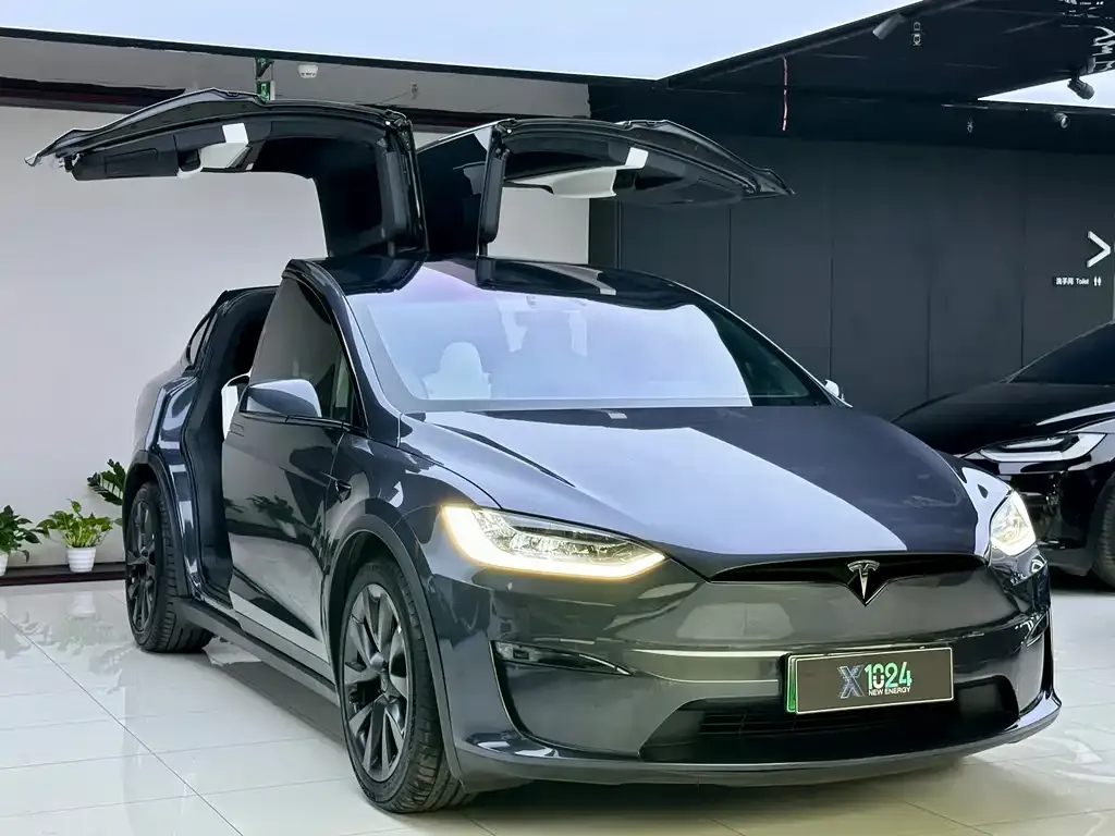 Tesla Model X 2023 из CN, фото 7