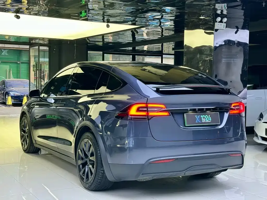 Tesla Model X 2023 из CN, фото 10
