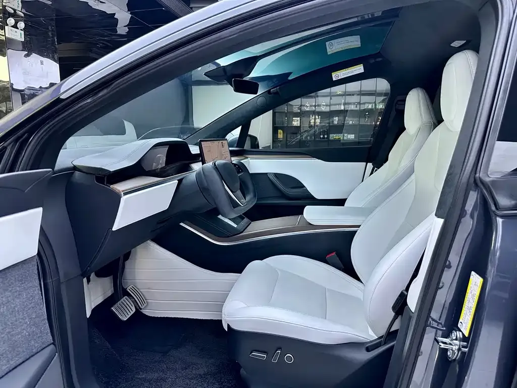 Tesla Model X 2023 из CN, фото 5