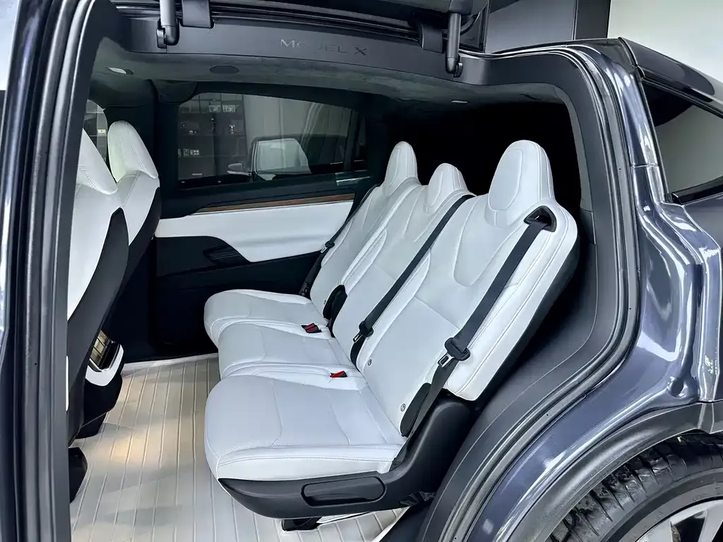 Tesla Model X 2023 из CN, фото 8