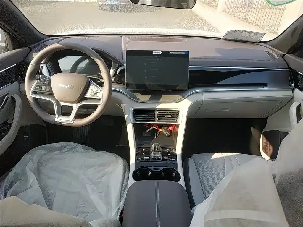 BYD PLUS New Energy 2025 из CN, фото 10