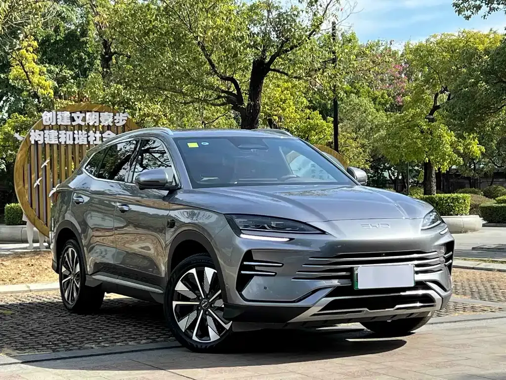 BYD PLUS New Energy — фото 10