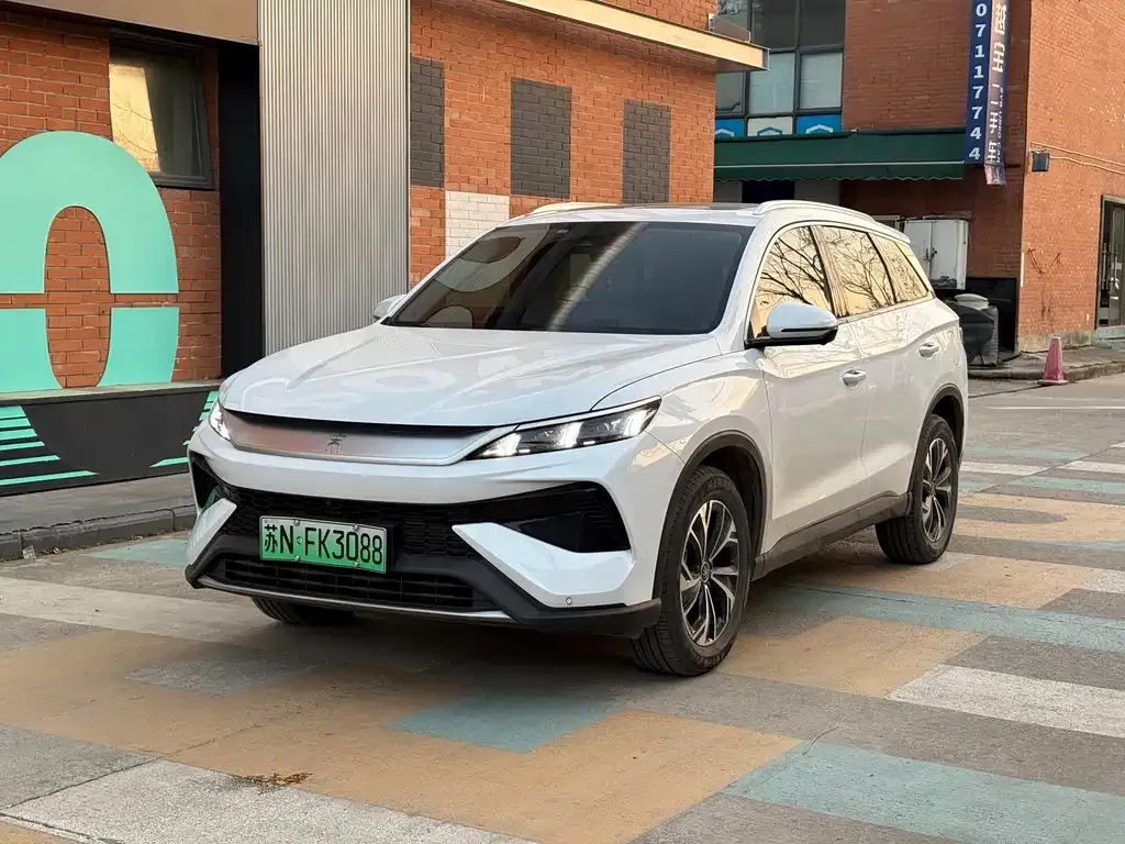 BYD Pro New Energy — фото 1