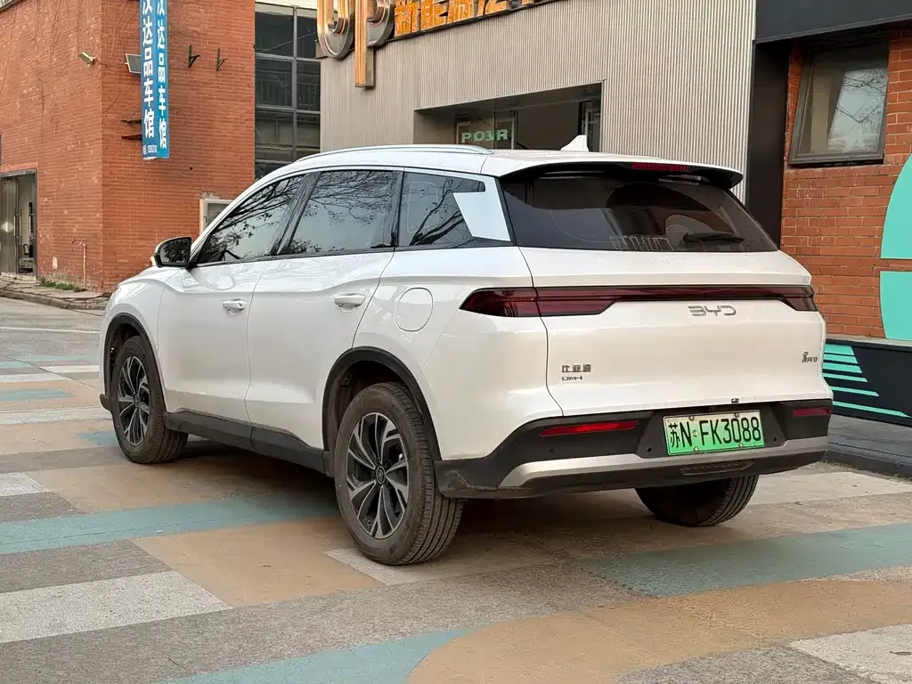 BYD Pro New Energy — фото 3