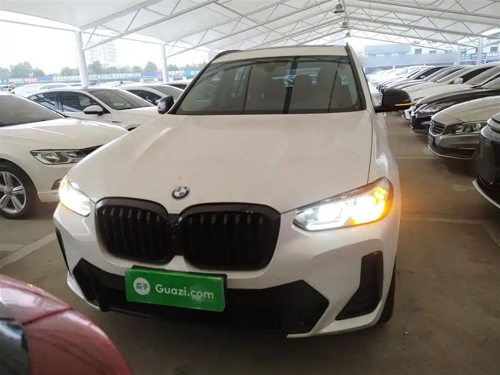 BMW X3 2022 из CN, фото 9