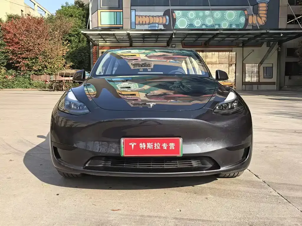 Tesla Model Y — фото 1